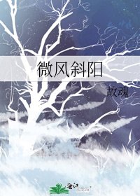 微风斜阳