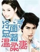 冷面总裁温柔妻